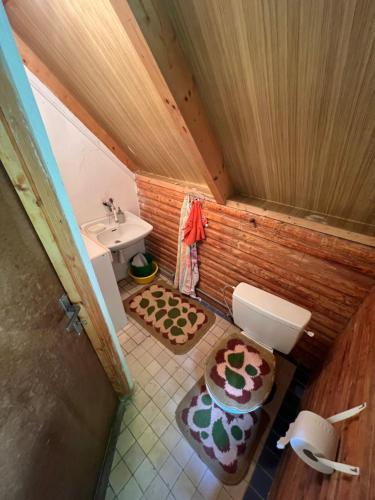 a small bathroom with a toilet and a sink at Chata svätého Filipa in Hnilčík