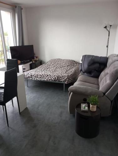 un salon avec un canapé et une table dans l'établissement Studio superbe vue 1 canapé-lit, à Choisy-le-Roi