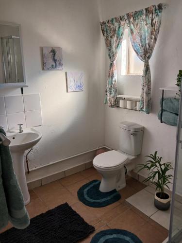 un bagno con un water, un lavandino e una finestra di The Garden Cottage a Polokwane