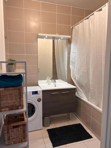 une salle de bain avec un lavabo et une machine à laver dans l'établissement t2 Gex Centre, proche Genève et station Mont Jura, à Gex