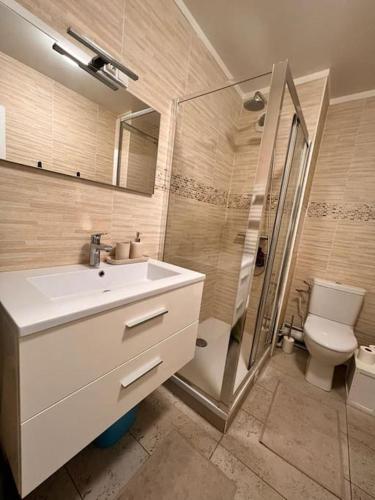 une salle de bain avec un lavabo, une douche et des toilettes dans l'établissement Agreable Paris Disney Centre ville Metro RER, à Rosny-sous-Bois