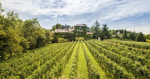 a field of vines with a house in the background at L'Albereta Relais & Chateaux in Erbusco