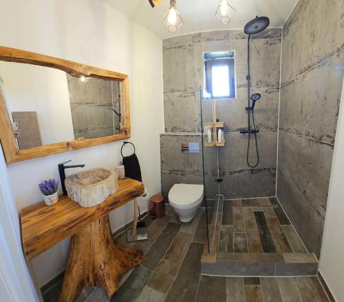 a bathroom with a shower and a toilet and a sink at MaviLand Chalet in Bran