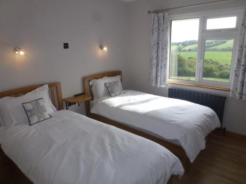 two beds in a room with a window at Briardene Cottage - Devon countryside - sleeps 6 in Exeter