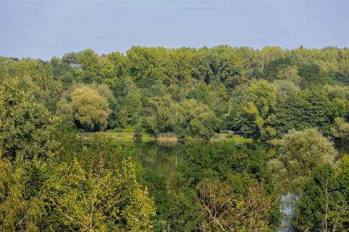 Příroda nedaleko apartmánu