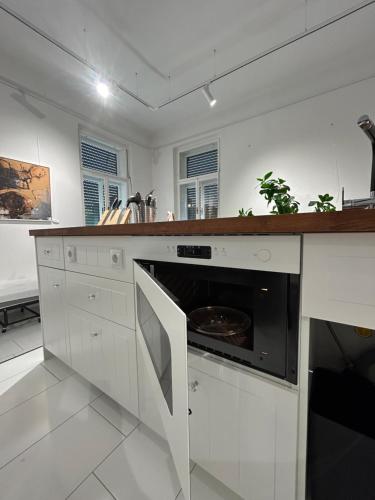 Cucina o angolo cottura di KUNST-VILLA Apartments Suite mit Privatpool GrazSüd, Apartment mit Gartenblick ohne Pool