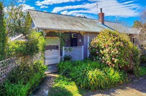 a small house with a white gate and bushes at Croft Cottage in Hepburn Springs