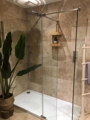 a shower with a glass door and a plant at The Bloom-Room in Stratford-upon-Avon