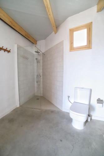 a bathroom with a toilet and a shower at La Tierrua home in Tefía