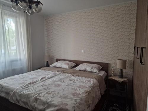a bedroom with a large bed and a window at Kuća za odmor Mali Princ in Karanac