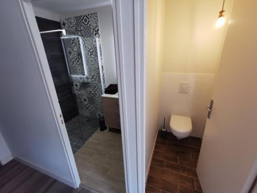 a bathroom with a toilet and a sink at Moulin Pont Vieux Chambres d'hôtes in Mortagne-sur-Sèvre