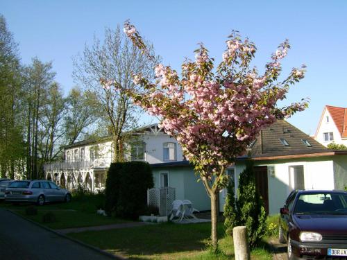 Fewo Rosenhof 07 photo 7