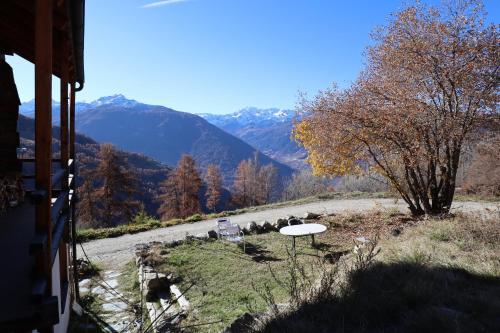 a group of animals grazing on a hill with a road at Chalet Lana in sonniger, ruhiger Lage in Mase