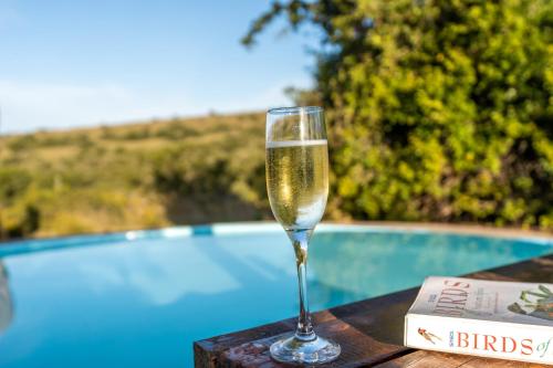 Bazén v ubytování Tygerfontein Safari Tents nebo v jeho okolí