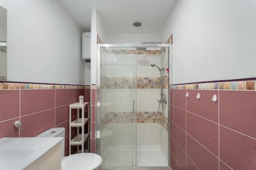 un baño con ducha y WC en Apto Jardin del Sol Beach, en Puerto de Santiago