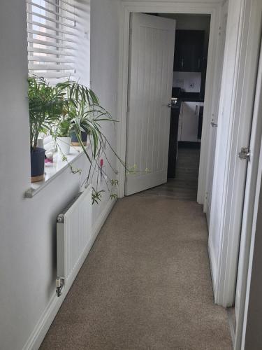 a hallway with a window and a plant on a window sill at The Lancers - Modern Double Room with En-Suite, Parking & Fast WiFi - Close to Eurotunnel in Kent
