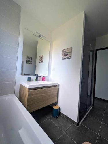 une salle de bain avec une baignoire, un lavabo et un miroir dans l'établissement Gite Zenevasion, à La Bégude-de-Mazenc