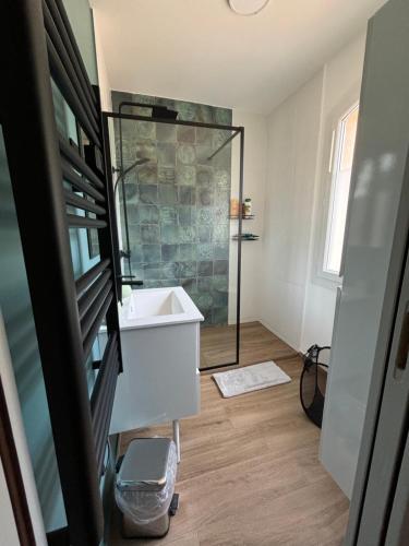 une salle de bain avec une douche en verre et un lavabo dans l'établissement Adorable Appartement de 60 m2 avec terrasse privée de 100m2 -lumineux - calme et verdure à 10 min de la mer, à Cagnes-sur-Mer