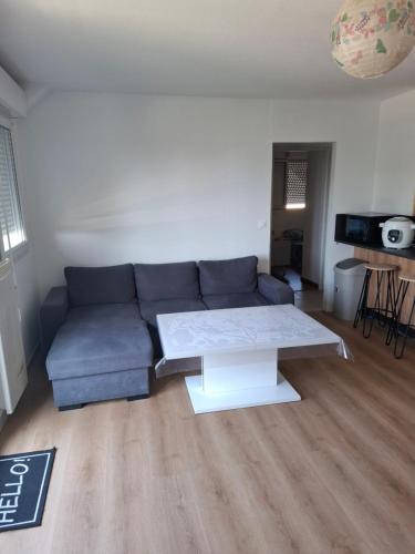 Appartement T3 - Relax aux portes des 24h du Mansにあるシーティングエリア