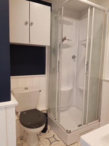une salle de bain avec toilettes et douche en verre dans l'établissement Loue appartement 50m de la plage 2 ch 4 ou 5 pers, à Pléneuf-Val-André