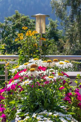 a bunch of colorful flowers in a garden at Hotel St. Pankraz in San Pancrazio dʼUltimo