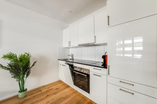 a kitchen with white cabinets and a potted plant at HRE Apartments St Gallen City in St. Gallen