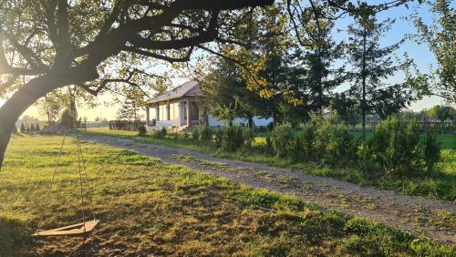 a small house in a field with a tree at Kavicsház in Vlăhiţa