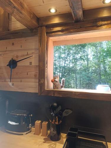 a cat sitting on a window sill in a kitchen at Les Étoiles de Bevy Chalet insolite Love Room in Septmoncel