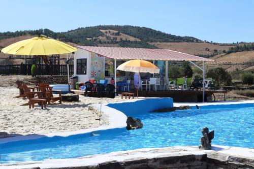 a swimming pool with two bears in the water at PH in Alto Douro Vinhateiro in Urros