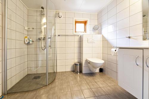 een badkamer met douche en toilet bij Rorbu burekka, Stamsund in Stamsund