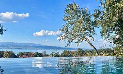 Villa de charme à Yvoire