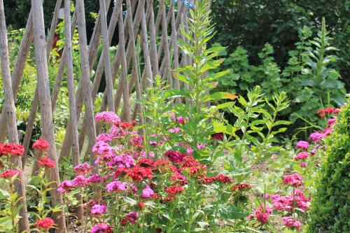a garden with pink flowers in front of a wooden fence at Ferienhof Mayischhof in Lauperath