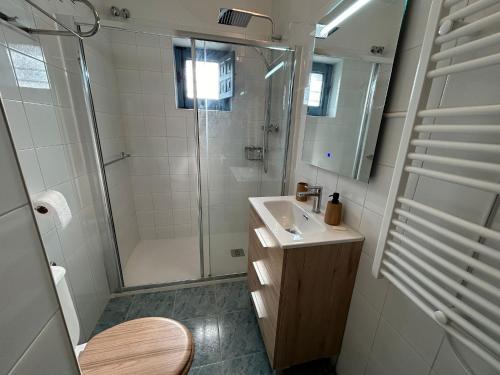 マンサナレス・エル・レアルにあるLa Casa De La Pedrizaのシャワー、洗面台、トイレ付きのバスルーム