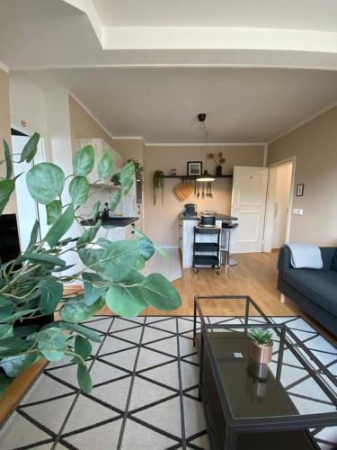 Una sala de estar con un sofá azul y una planta. en K2-Project - Gipfelstürmer - Über den Dächern von Schloßchemnitz, en Chemnitz