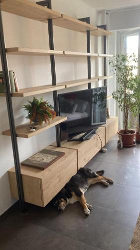 Franky Home
