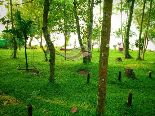 a hammock in the middle of a forest of trees at AshtamudiVillas in Kollam