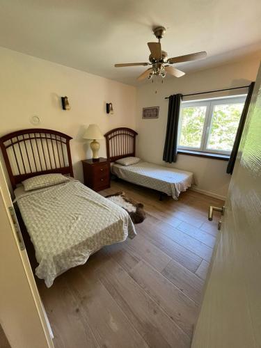 a bedroom with two beds and a dog laying on the floor at Kamena Idila in Stolac