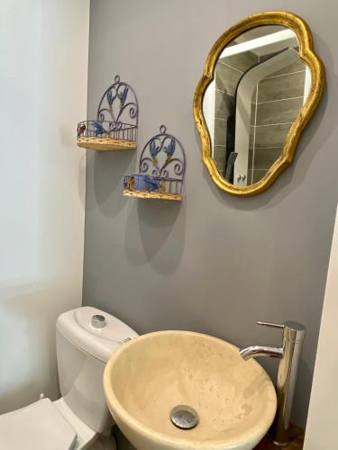 une salle de bain avec un lavabo et un miroir au mur dans l'établissement Chambre Le citronnier, à La Motte