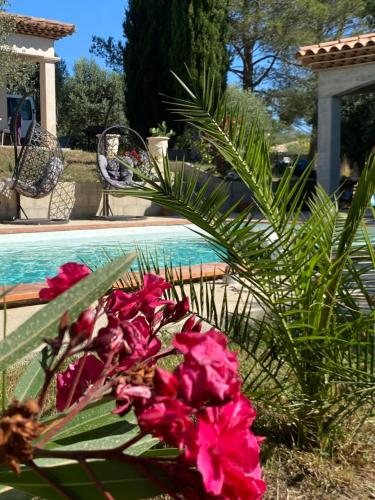 Zahrada ubytování Chambre Le citronnier