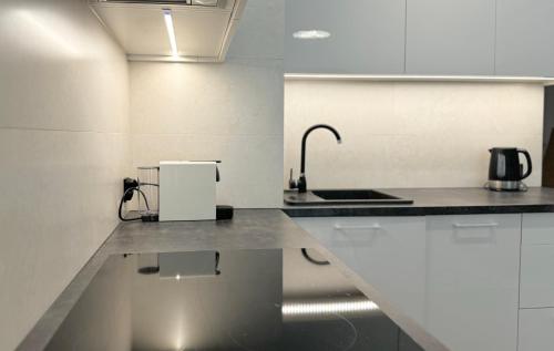 a kitchen with a sink and a counter top at Apartamenty Florina Q4Apartments in Łeba