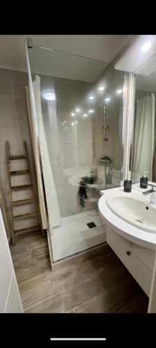 une salle de bain avec une douche, un lavabo et une baignoire dans l'établissement Joli appartement T2 climatisé, au Barcarès