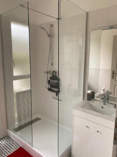 La GuérinièreにあるLa Maisonnetteのガラスのシャワーと洗面台を備えたバスルーム