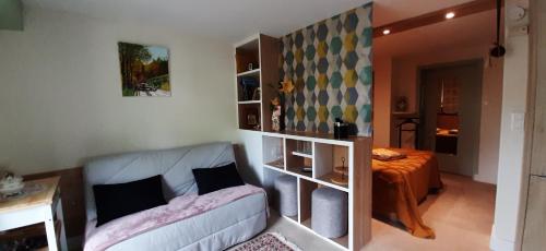 un salon avec un canapé et une étagère dans l'établissement L'Enclos des Lys STUDIO, à Aurillac