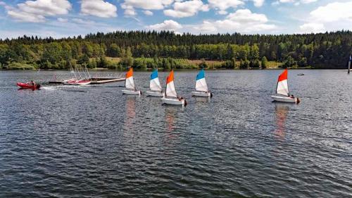 a group of small sailboats on a lake at Bütgenbach Ferienhaus Lorea in Butgenbach