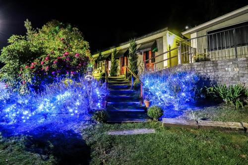 a garden with blue flowers in front of a house at Pousada Campos do Jordao Suites in Campos do Jordão