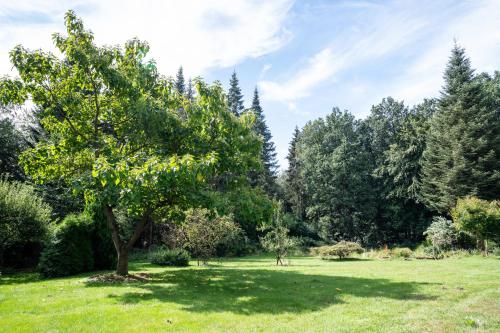 a tree in a field with trees in the background at Ferienwohnung am Wald in Hagenow
