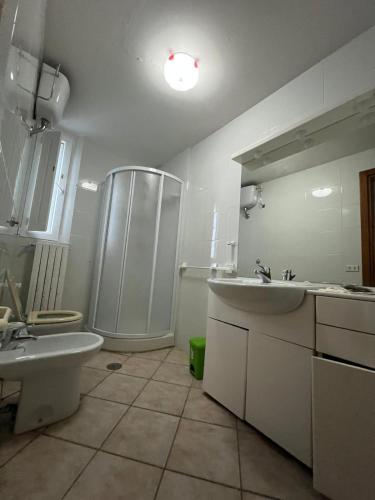 a bathroom with a shower and a sink and a toilet at CentoMetri Open in San Massimo