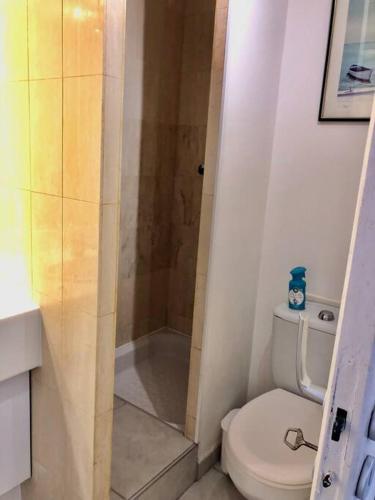 une petite salle de bain avec toilettes et douche dans l'établissement Studio Piscine vue mer Le Lavandou, au Lavandou