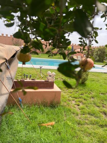 a view of a swimming pool from a tree at Villa Zaouiat in Ben Guemoud
