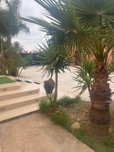 a couple of palm trees next to some stairs at Villa Zaouiat in Ben Guemoud